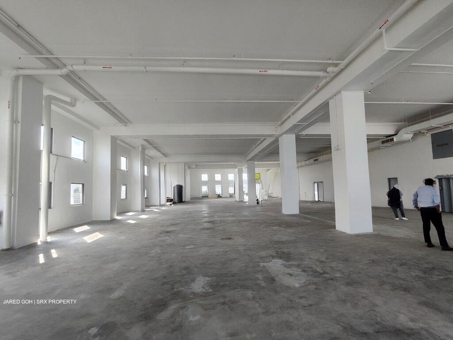 Woodlands Spectrum (D25), Factory #518837601